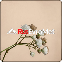 Декоративная нержавеющая сталь  Mirror Gold Black Champagne